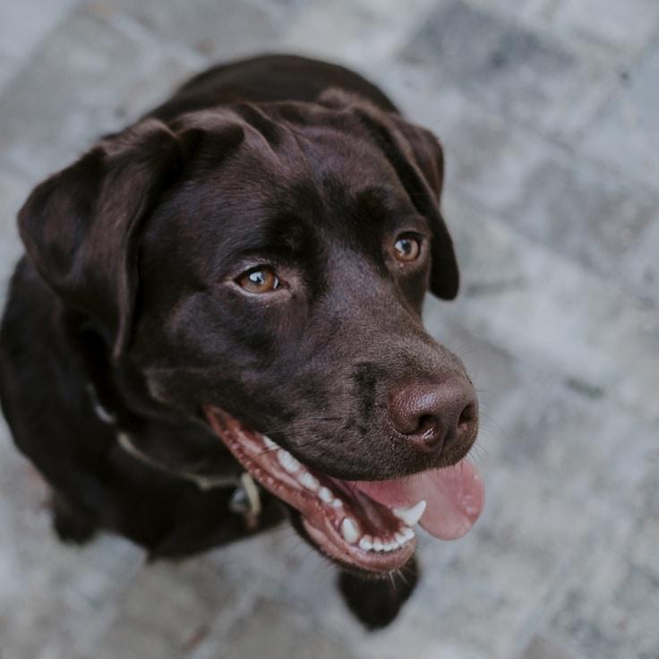 Portrait of Liam Carter, community mentor and Italian cuisine specialist